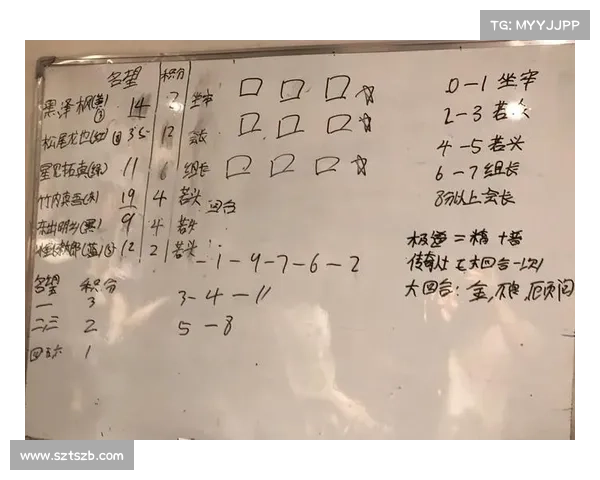 蓄能值在战斗策略中的重要性及其对胜负的关键影响 蓄能值在战斗策略中的重要性及其对胜负的关键影响