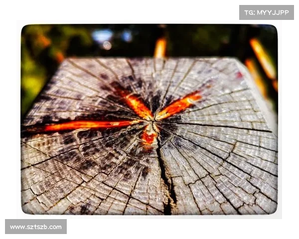 奥利塞如何战胜四国血统困境并实现自我突破