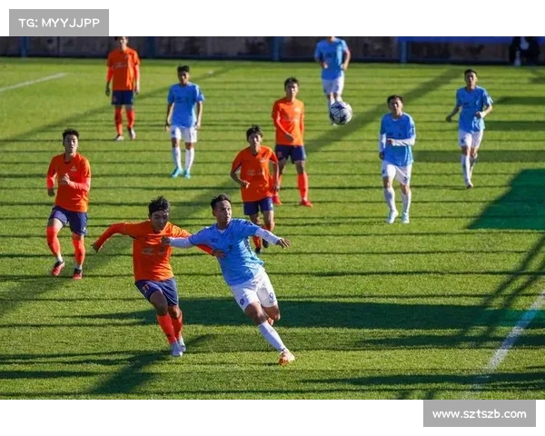 德黑兰独立足球队成功背后的策略与精神解析 德黑兰独立足球队成功背后的策略与精神解析